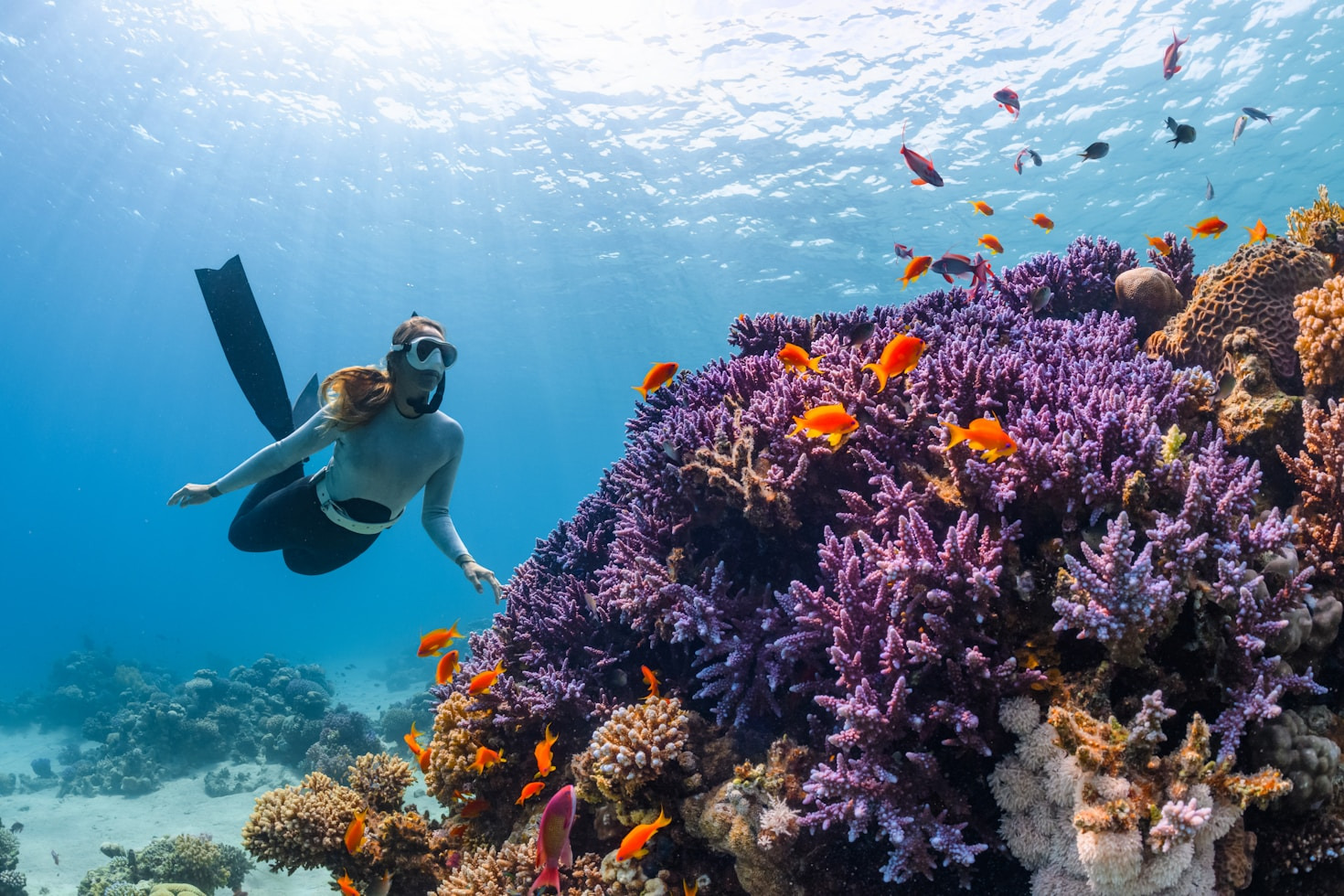 Unforgettable Cruise Journeys You Should Try